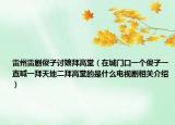 雷州雷剧傻子讨娘拜高堂（在城门口一个傻子一直喊一拜天地二拜高堂的是什么电视剧相关介绍）