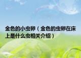 金色的小虫卵（金色的虫卵在床上是什么虫相关介绍）