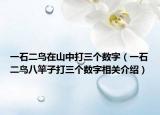一石二鸟在山中打三个数字（一石二鸟八竿子打三个数字相关介绍）