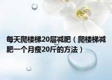 每天爬楼梯20层减肥（爬楼梯减肥一个月瘦20斤的方法）