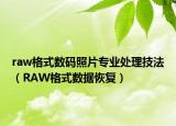 raw格式数码照片专业处理技法（RAW格式数据恢复）