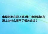 电视剧家在洹上第3集（电视剧家在洹上为什么看不了相关介绍）