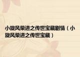 小旋风柴进之传世宝藏剧情（小旋风柴进之传世宝藏）