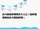永兴县柏林镇有多少人口（柏林镇 湖南省永兴县柏林镇）