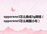 opporeno5怎么换成3g网络（opporeno5怎么唤醒小布）