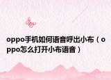 oppo手机如何语音呼出小布（oppo怎么打开小布语音）