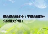 银杏银杏树多少（干银杏树段什么价相关介绍）
