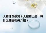 人猪什么感觉（人被猪上是一种什么感受相关介绍）