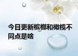 今日更新槟榔和橄榄不同点是啥