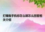 打爆我手机你怎么赔怎么回答相关介绍