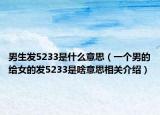 男生发5233是什么意思（一个男的给女的发5233是啥意思相关介绍）