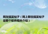 网友搞笑帖子（网上那些搞笑帖子是那个软件相关介绍）