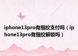 iphone13pro有指纹支付吗（iphone13pro有指纹解锁吗）