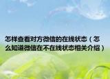 怎样查看对方微信的在线状态（怎么知道微信在不在线状态相关介绍）