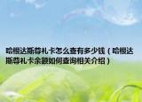哈根达斯尊礼卡怎么查有多少钱（哈根达斯尊礼卡余额如何查询相关介绍）