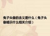 兔子头像的含义是什么（兔子头像暗示什么相关介绍）
