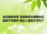 当日最新消息 流浪狗仰头喝雨水过路男子带回养 被主人遗弃太可怜了