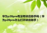 华为p20pro有没有语音助手吗（华为p20pro怎么打开语音助手）