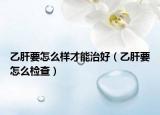 乙肝要怎么样才能治好（乙肝要怎么检查）