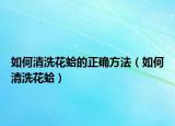 如何清洗花蛤的正确方法（如何清洗花蛤）