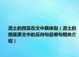 泥土的微笑在文中具体指（泥土的微笑原文中的反问句是哪句相关介绍）