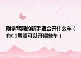 刚拿驾照的新手适合开什么车（有C1驾照可以开哪些车）