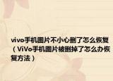 vivo手机图片不小心删了怎么恢复（ViVo手机图片被删掉了怎么办恢复方法）