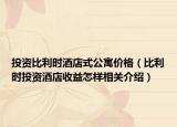 投资比利时酒店式公寓价格（比利时投资酒店收益怎样相关介绍）