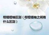 柑橘橙柚区别（柑橙橘柚之间有什么区别）
