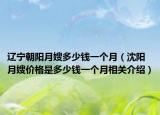 辽宁朝阳月嫂多少钱一个月（沈阳月嫂价格是多少钱一个月相关介绍）