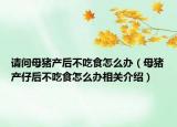 请问母猪产后不吃食怎么办（母猪产仔后不吃食怎么办相关介绍）