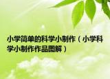小学简单的科学小制作（小学科学小制作作品图解）