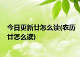 今日更新廿怎么读(农历廿怎么读)