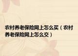 农村养老保险网上怎么买（农村养老保险网上怎么交）