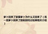 萝卜回来了故事萝卜为什么又回来了（找一找萝卜回来了的起因经过结果相关介绍）