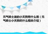 元气骑士送的小天狗有什么用（元气骑士小天狗吃什么相关介绍）