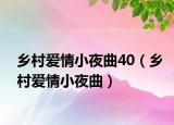 乡村爱情小夜曲40（乡村爱情小夜曲）