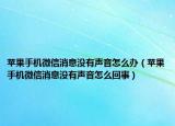 苹果手机微信消息没有声音怎么办（苹果手机微信消息没有声音怎么回事）