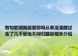 有句歌词我能爱你吗从来没清醒过走了几千里也不问归期是相关介绍