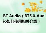 BT Audio（BT5.0-Audio如何使用相关介绍）