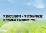 宁波花鸟狗市场（宁波市海曙区花鸟市场那里上狗牌相关介绍）