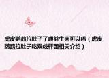 虎皮鹦鹉拉肚子了喂益生菌可以吗（虎皮鹦鹉拉肚子吃双歧杆菌相关介绍）
