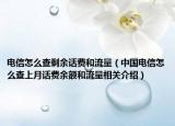 电信怎么查剩余话费和流量（中国电信怎么查上月话费余额和流量相关介绍）