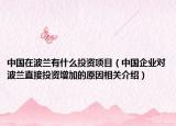 中国在波兰有什么投资项目（中国企业对波兰直接投资增加的原因相关介绍）