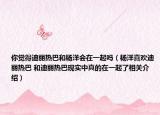 你觉得迪丽热巴和杨洋会在一起吗（杨洋喜欢迪丽热巴 和迪丽热巴现实中真的在一起了相关介绍）