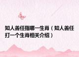 知人善任指哪一生肖（知人善任打一个生肖相关介绍）