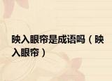 映入眼帘是成语吗（映入眼帘）