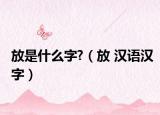 放是什么字?（放 汉语汉字）
