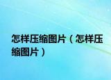 怎样压缩图片（怎样压缩图片）
