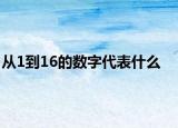 从1到16的数字代表什么